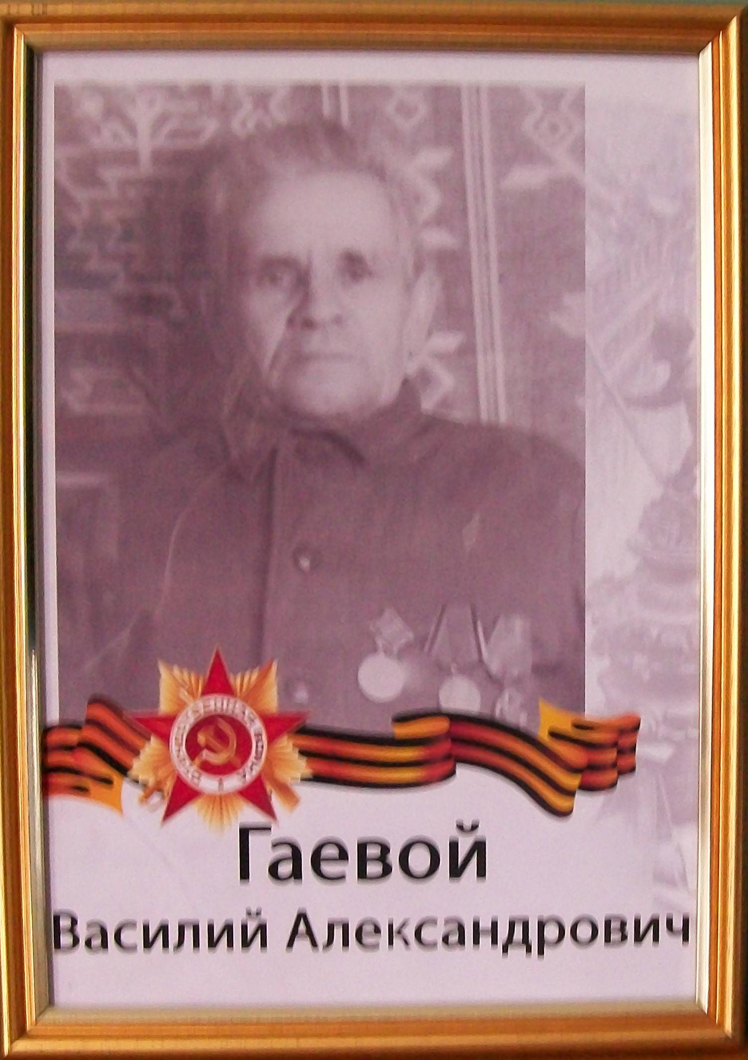 uploads/old_data/media/uploads/гаевой_василий_александрович.jpg
