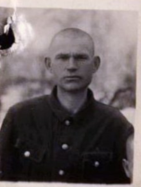 uploads/old_data/media/uploads/гогенко_егор_романович.png