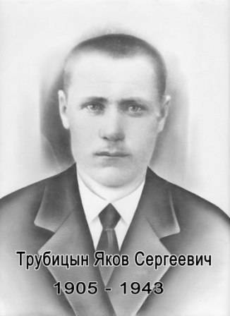 uploads/old_data/media/uploads/трубицын_копия.jpg